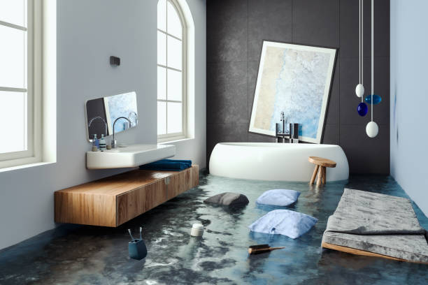 Best Mold removal after water damage  in Sedro Woolley, WA