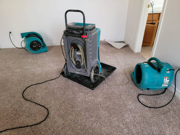 Best 24-hour water damage restoration  in Sedro Woolley, WA