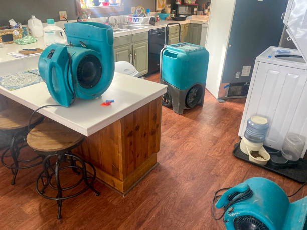 Water damage restoration mold remediation in WA