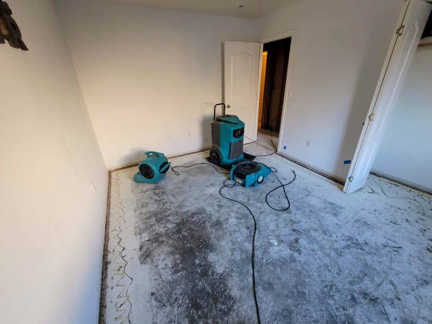 Best Water damage cleanup near me  in Sedro Woolley, WA