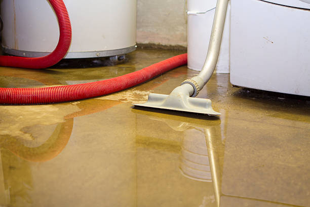 Best Water damage restoration near me  in Sedro Woolley, WA