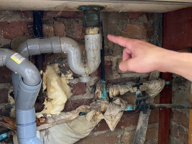Best Local water damage restoration  in Sedro Woolley, WA