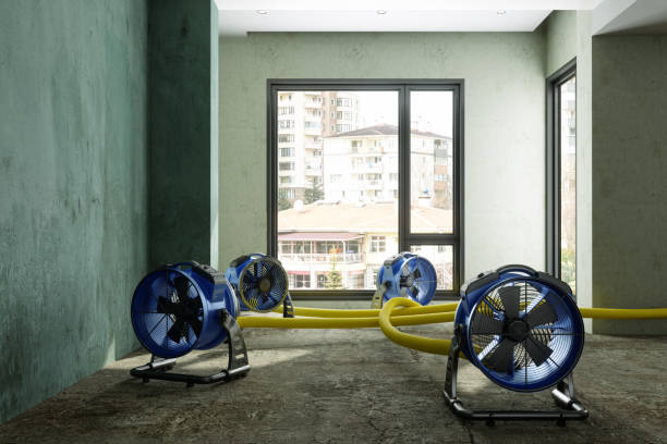 Best Carpet water damage restoration  in Sedro Woolley, WA